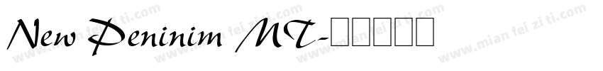 New Peninim MT字体转换